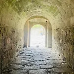 Coracao D'alice