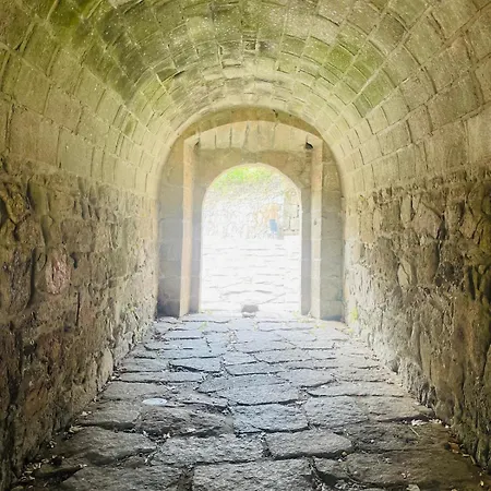 Coracao D'alice